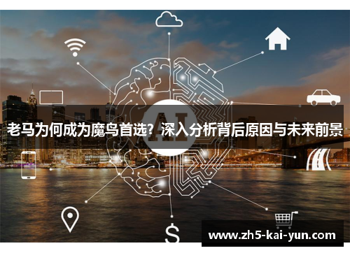 老马为何成为魔鸟首选？深入分析背后原因与未来前景