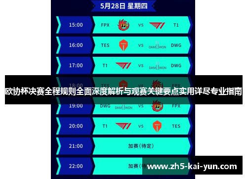 欧协杯决赛全程规则全面深度解析与观赛关键要点实用详尽专业指南