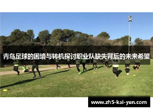 青岛足球的困境与转机探讨职业队缺失背后的未来希望